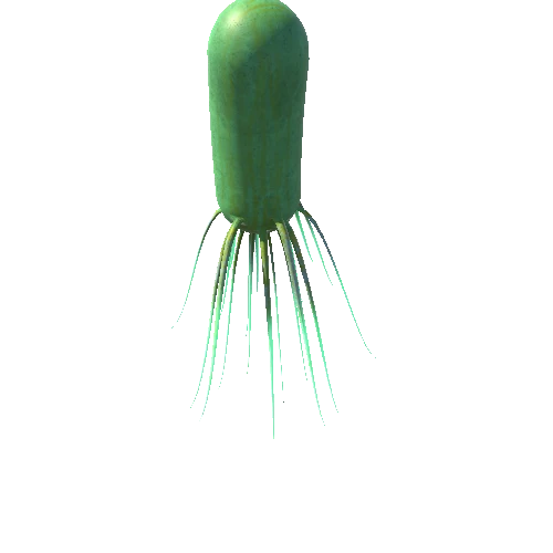 Green Bacteria